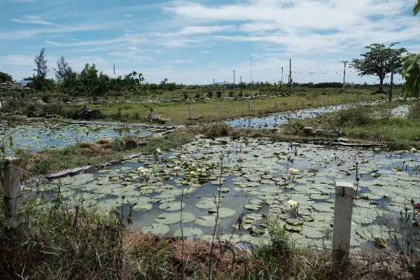 Hoi An Bike Tour