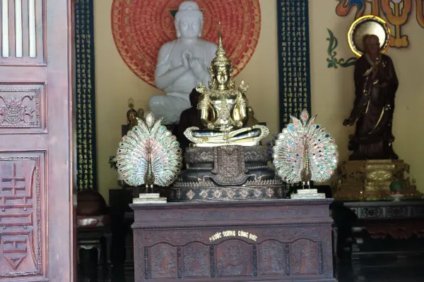DSCF0247