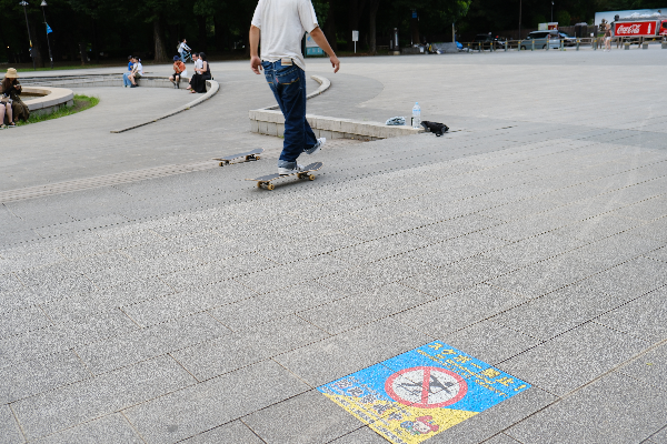 No Skating / Skater