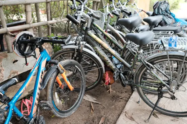 Hoi An Bike Tour