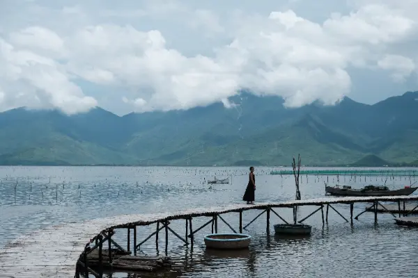 Drive from Hoi An to Hue