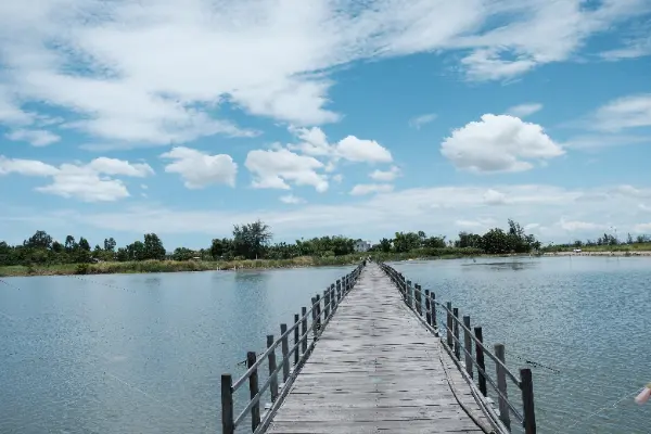 Hoi An Bike Tour