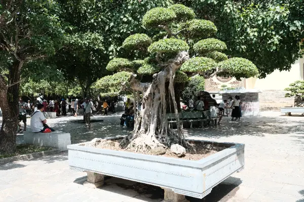 DSCF0241