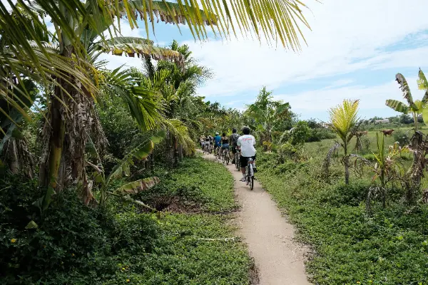 Hoi An Bike Tour