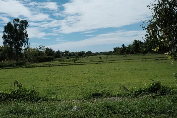 Hoi An Bike Tour