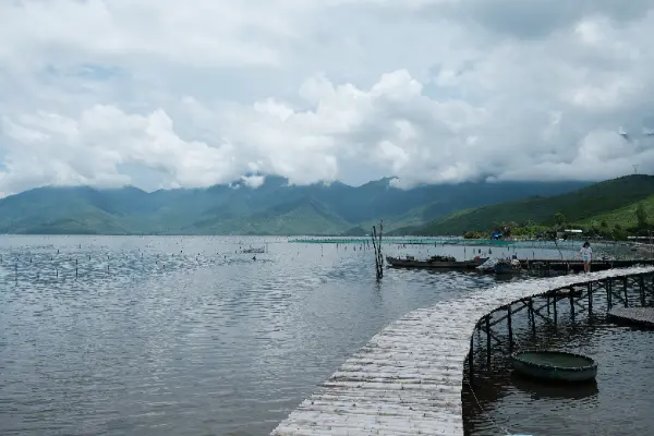 Drive from Hoi An to Hue